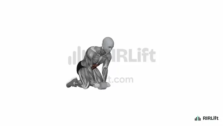 Ab Wheel Rollout start position