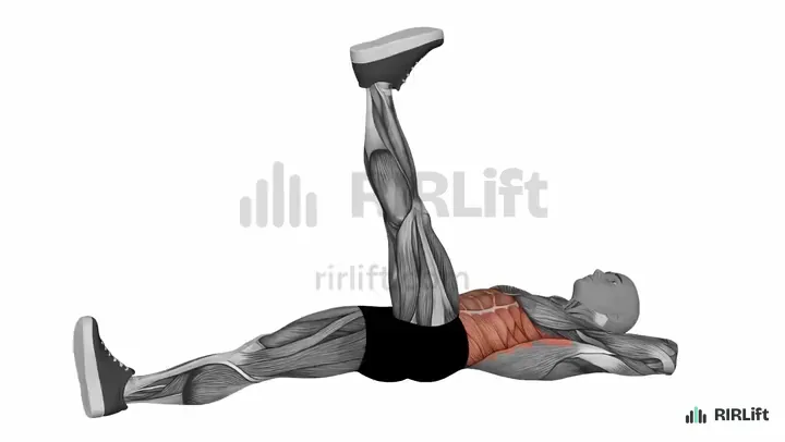 Alternating Leg Raise start position