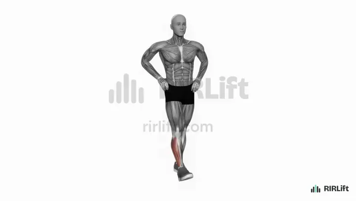 Ankle Circles demonstration