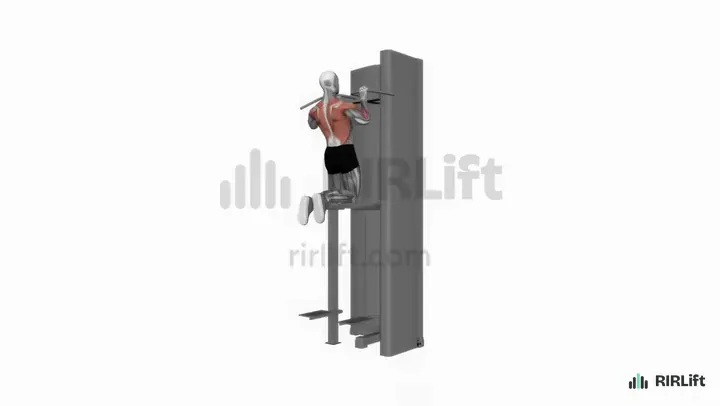 Assisted Pull-Up start position
