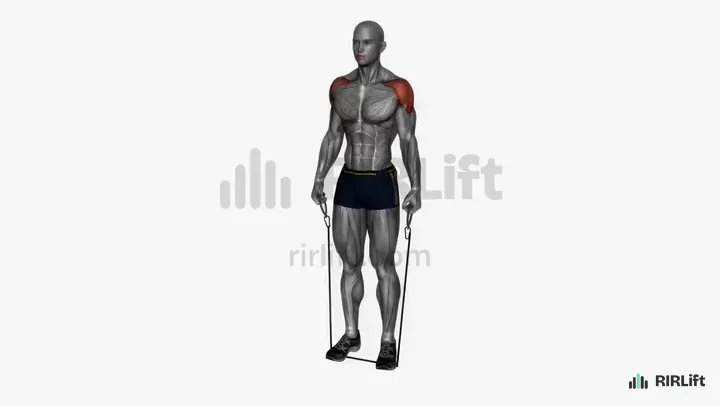 Band Lateral Raise start position