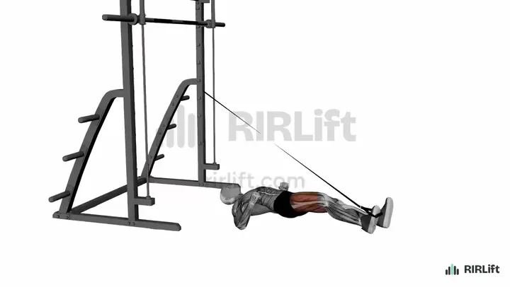 Band Leg Press start position
