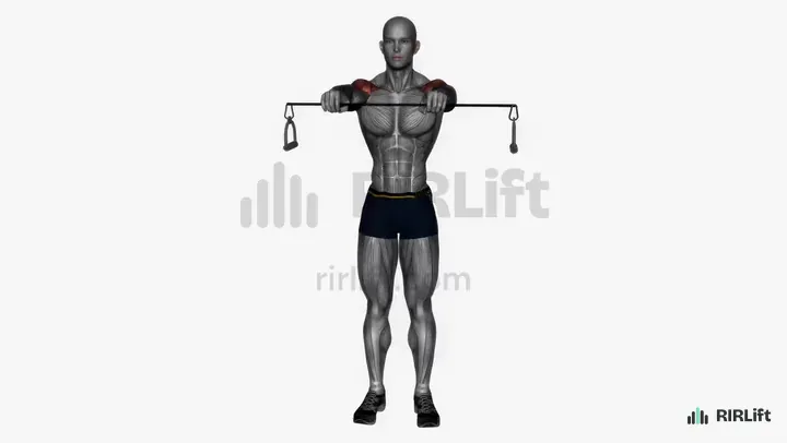 Band Pull-Apart start position