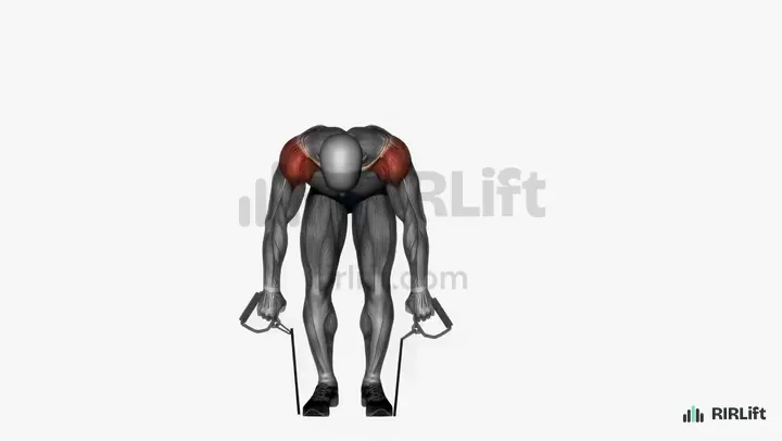 Band Rear Delt Fly start position