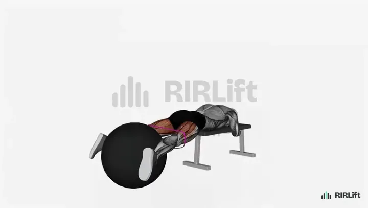 Band Reverse Hyperextension demonstration