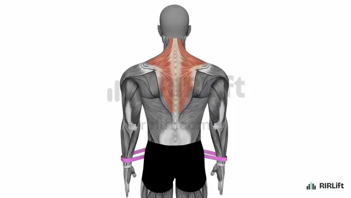 Band Scapular Retraction start position