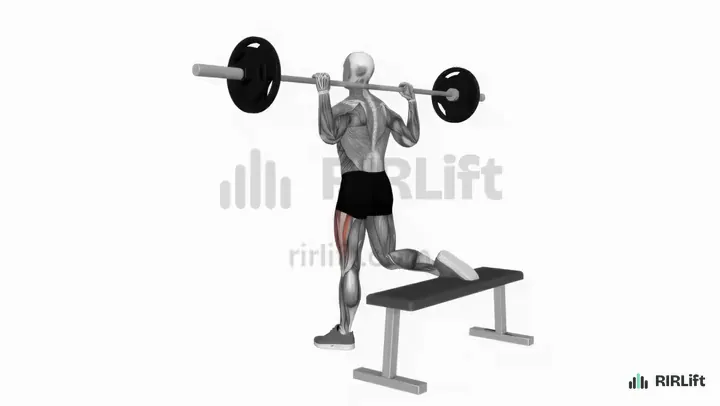 Barbell Bulgarian Split Squat start position