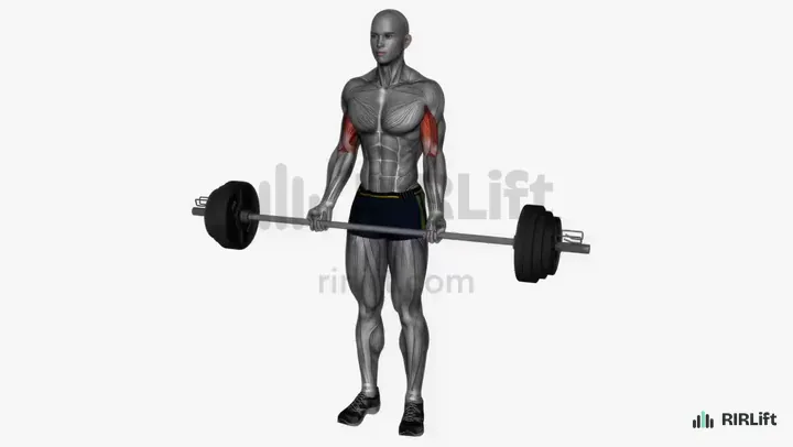 Barbell Drag Curl start position