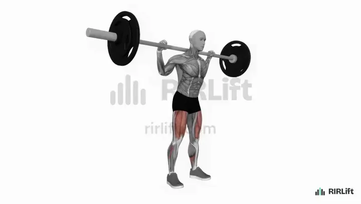 Barbell Low-Bar Squat start position