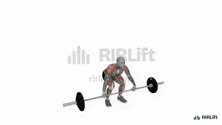 Barbell Snatch demonstration