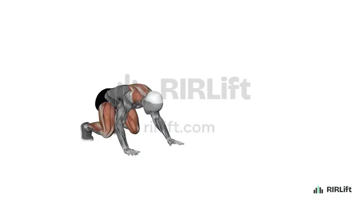 Bear Crawl start position