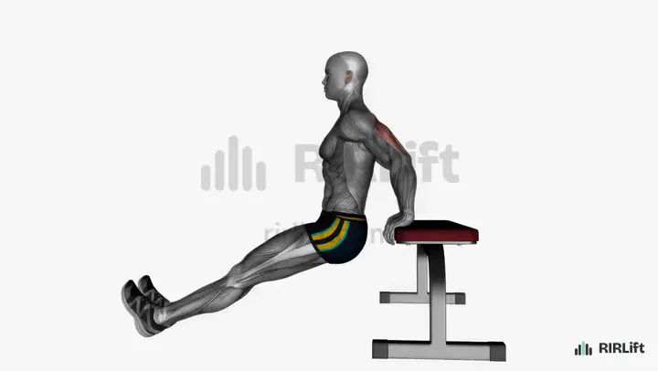 Bench Dip start position