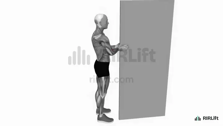 Bodyweight Bicep Curl demonstration