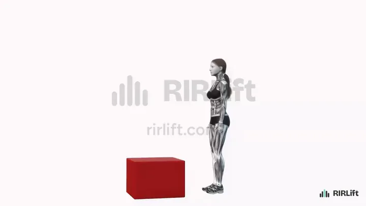 Box Jump start position