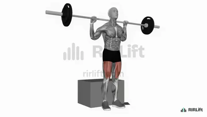 Box Squat start position