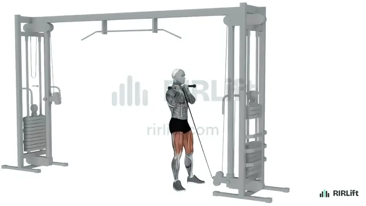 Cable Goblet Squat start position
