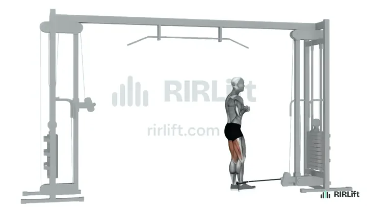 Cable Leg Curl start position