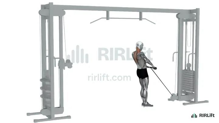 Cable Shrug start position