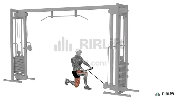 Cable Split Squat start position
