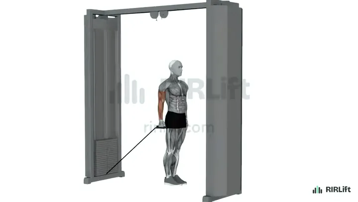 Cable Twisting Curl start position