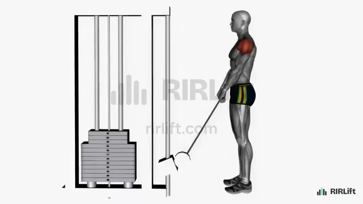 Cable Upright Row start position