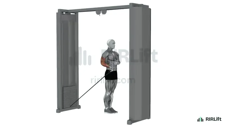 Cable Wrist Extension start position