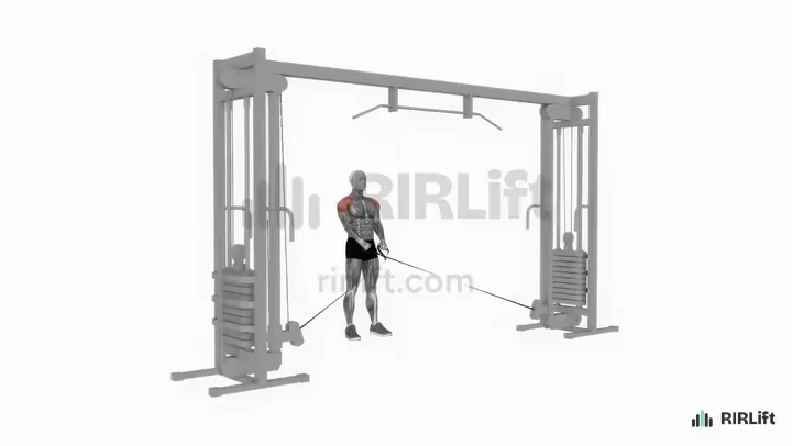 Cable Y Raise start position