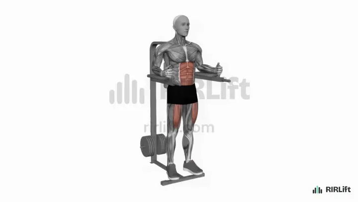 Captain's Chair Knee Raise start position