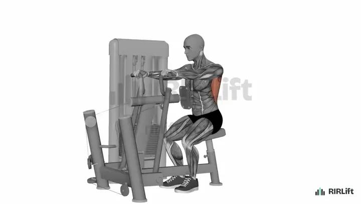 Chest-Supported Row start position
