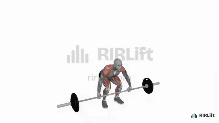Barbell Clean and Press start position