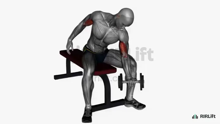 Concentration Curl start position