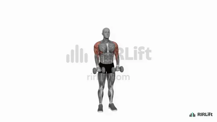 Dumbbell Cuban Press demonstration