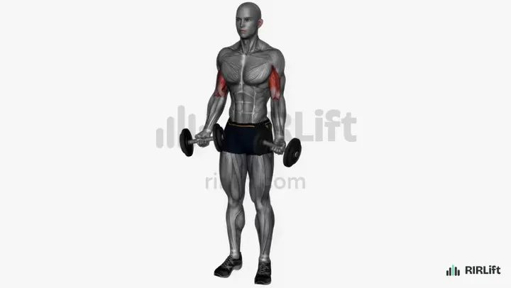 Dumbbell Drag Curl demonstration