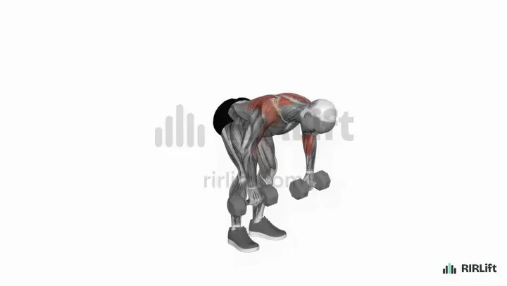 Dumbbell Face Pull start position