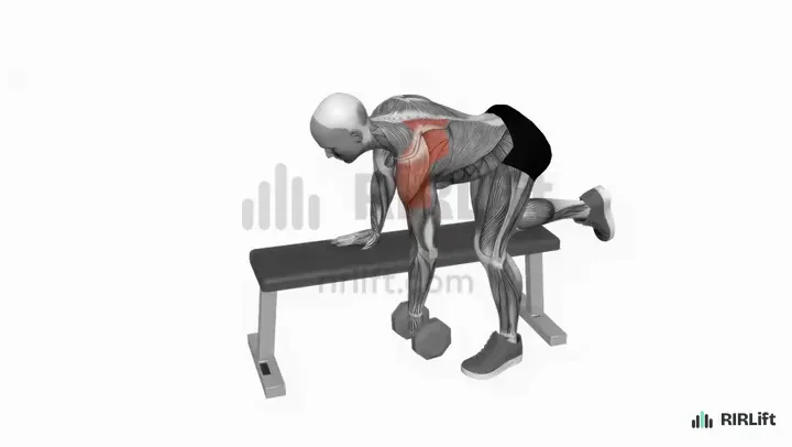 Dumbbell Rear Delt Row start position