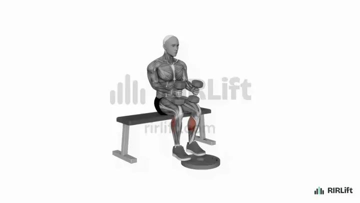 Dumbbell Seated Calf Raise start position