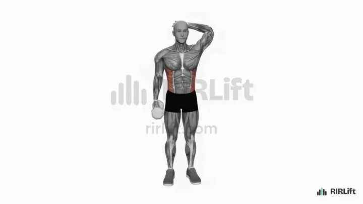 Dumbbell Side Bend start position