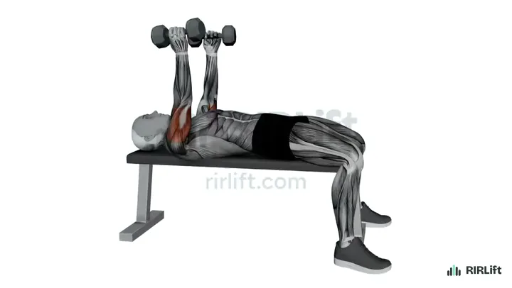 Dumbbell Skullcrusher start position