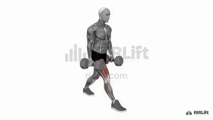 Dumbbell Split Squat start position