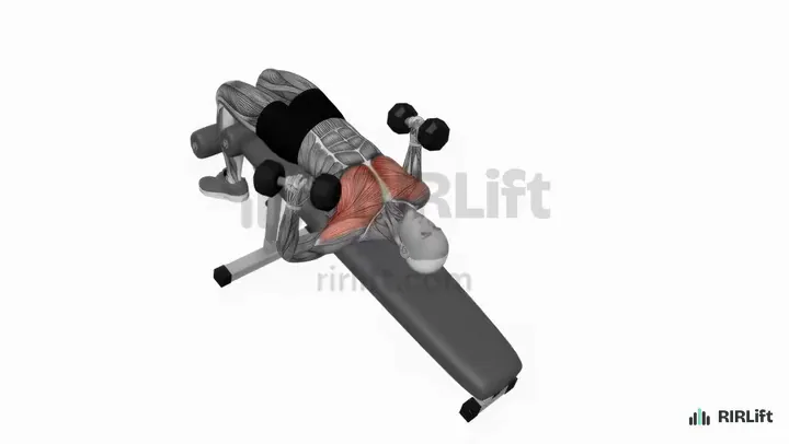 Decline Dumbbell Neutral-Grip Press demonstration