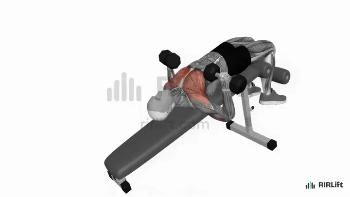 Decline Dumbbell Press start position