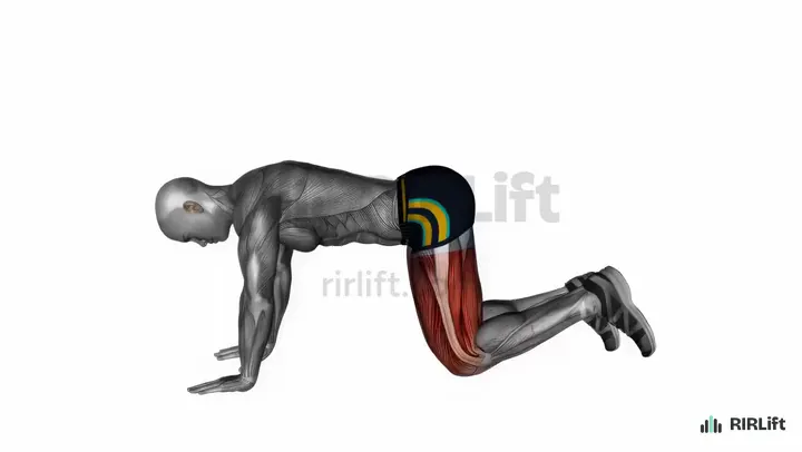 Donkey Kick demonstration