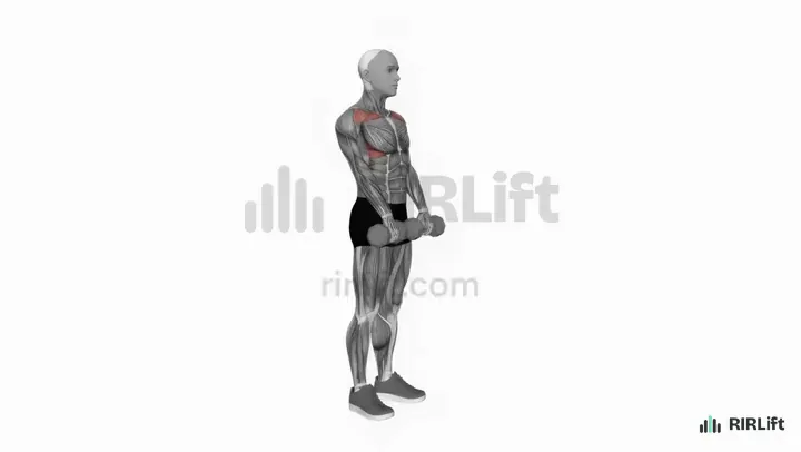 Dumbbell Front Raise demonstration