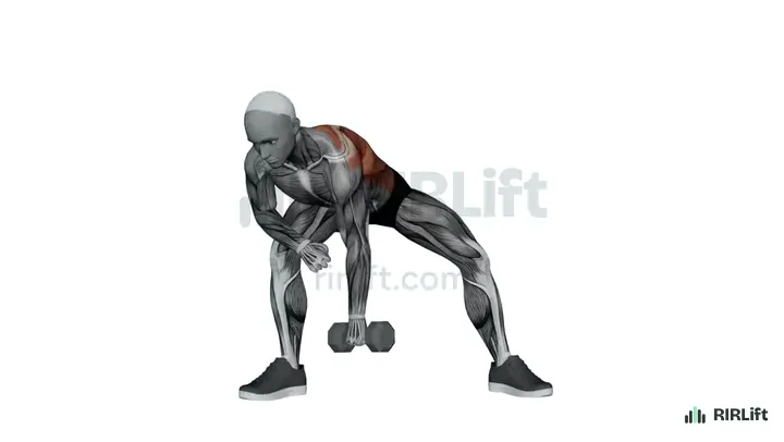 Dumbbell Lawnmower Row demonstration