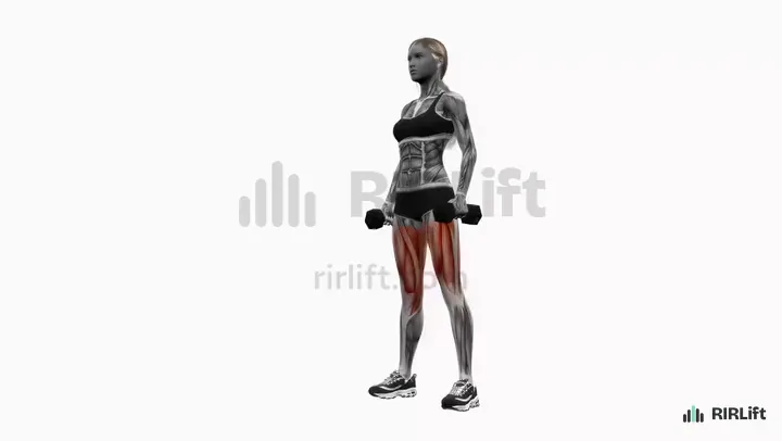 Dumbbell Squat start position