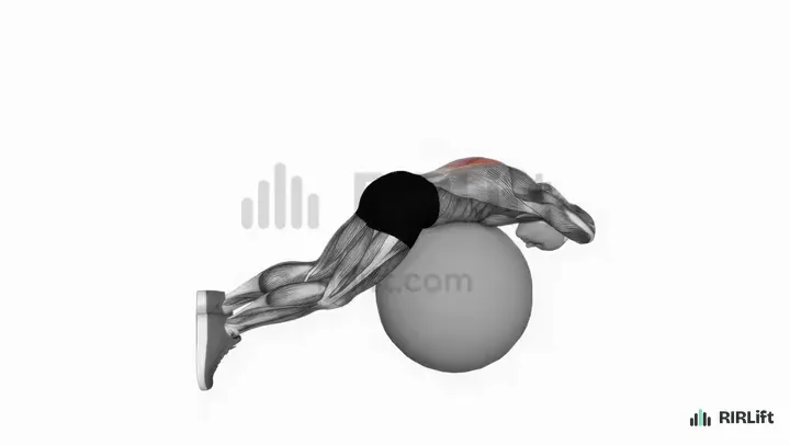 Exercise Ball Back Extension demonstration