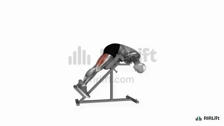 45-Degree Back Extension start position
