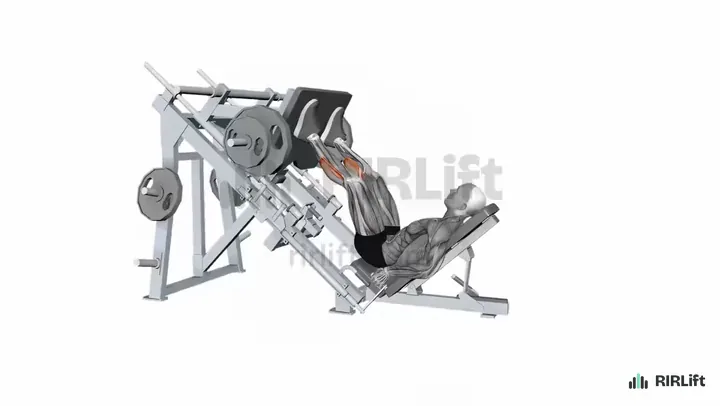 45-Degree Leg Press Calf Raise start position