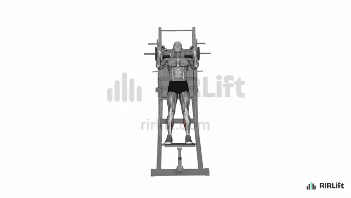 Hack Squat Calf Raise start position
