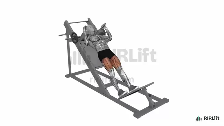Hack Squat start position